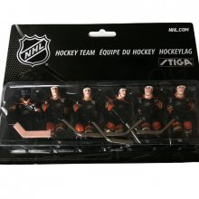 NHL Team Anaheim Mighty Ducks
